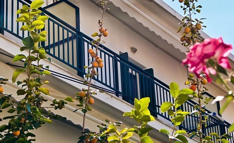 Lito Hotel