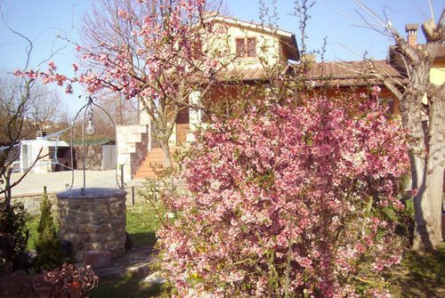 Outdoor Pictures 22