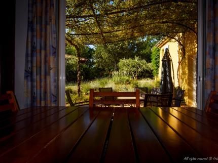 Outdoor Pictures 8