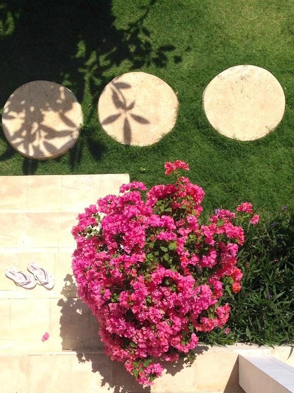 Outdoor Pictures 23