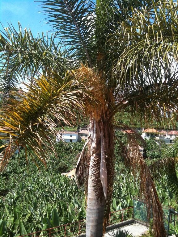 Outdoor Pictures 18