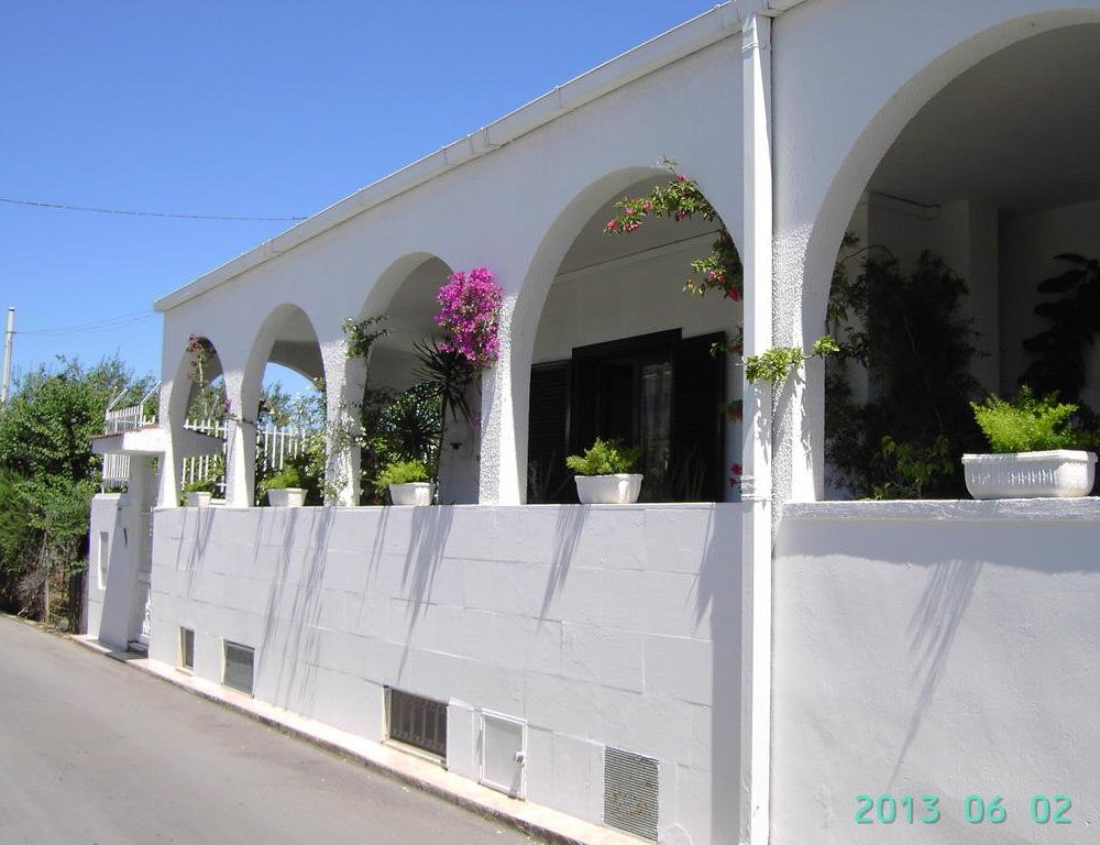 Outdoor Pictures 12