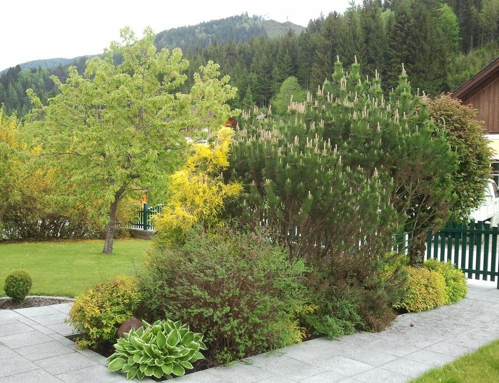 Outdoor Pictures 22