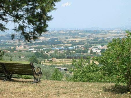Outdoor Pictures 10