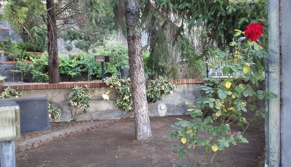Outdoor Pictures 15
