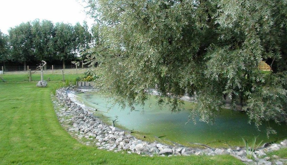 Outdoor Pictures 22
