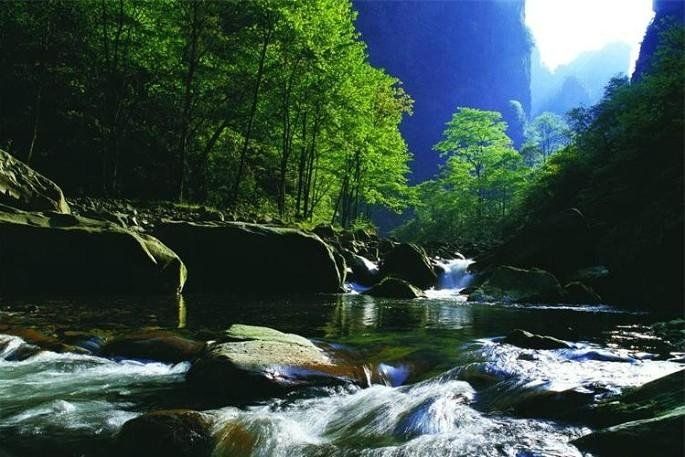 Outdoor Pictures 15