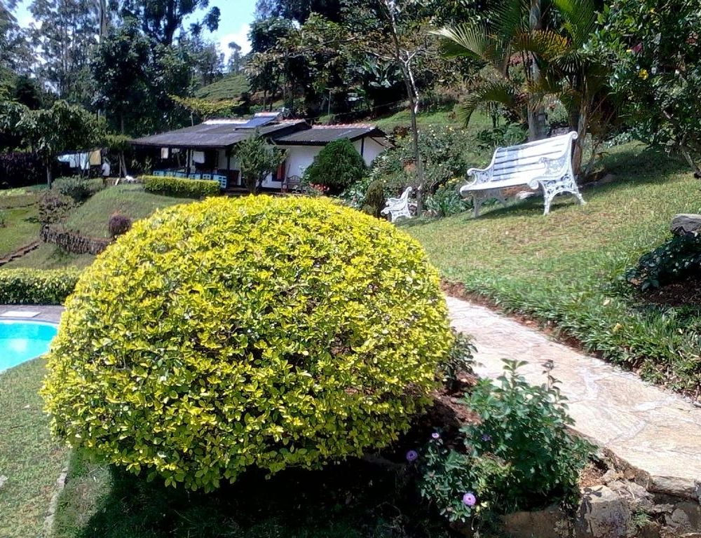 Outdoor Pictures 15