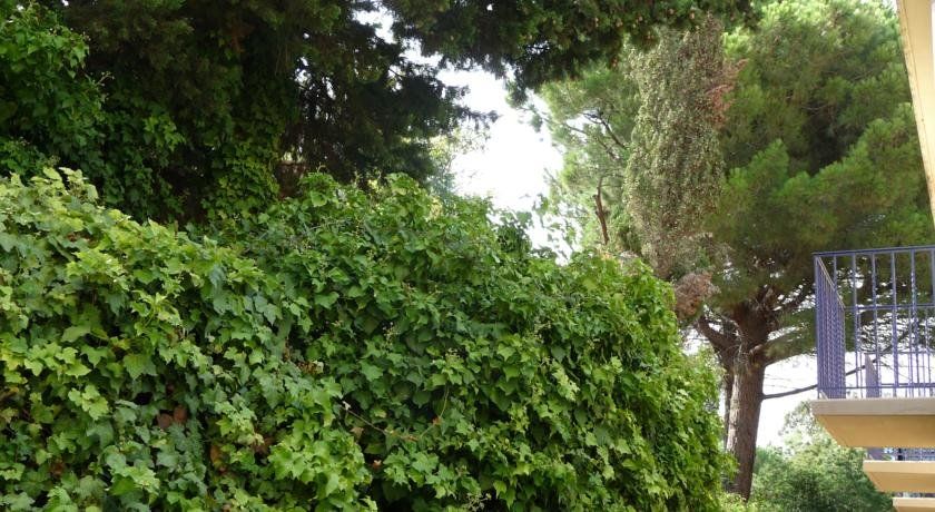 Outdoor Pictures 6
