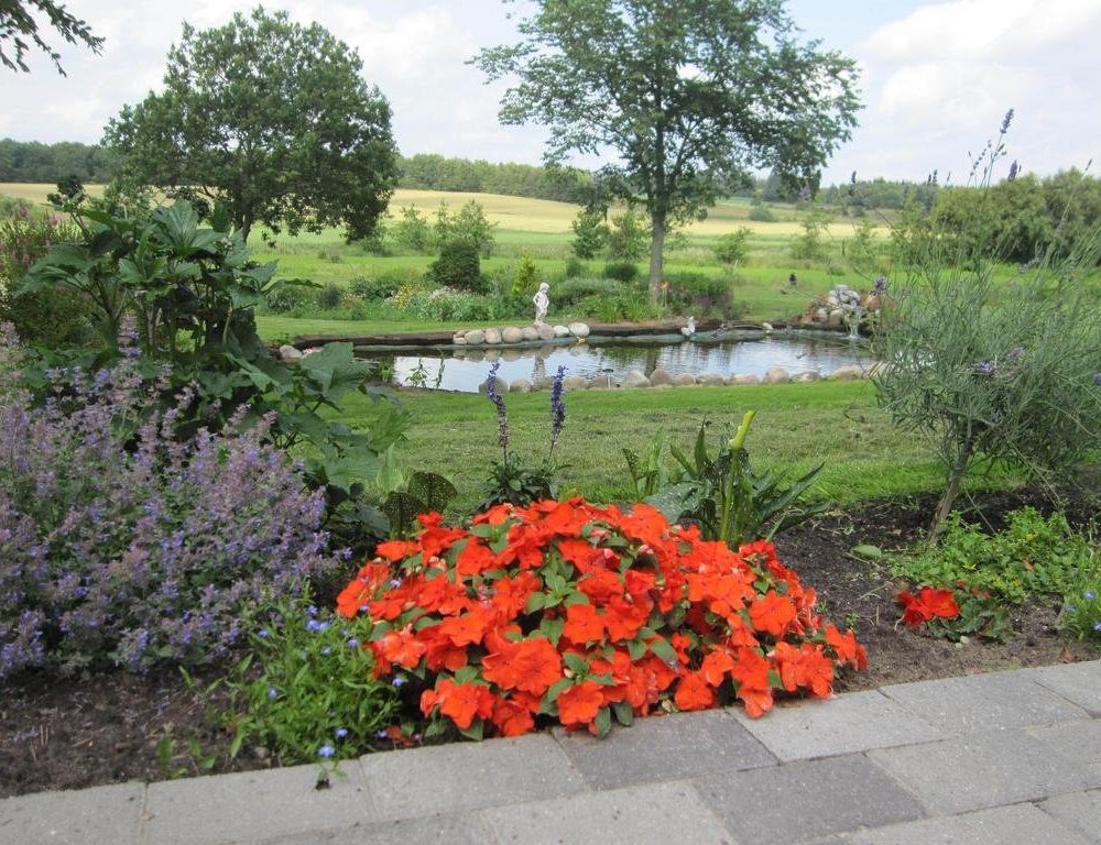 Outdoor Pictures 21