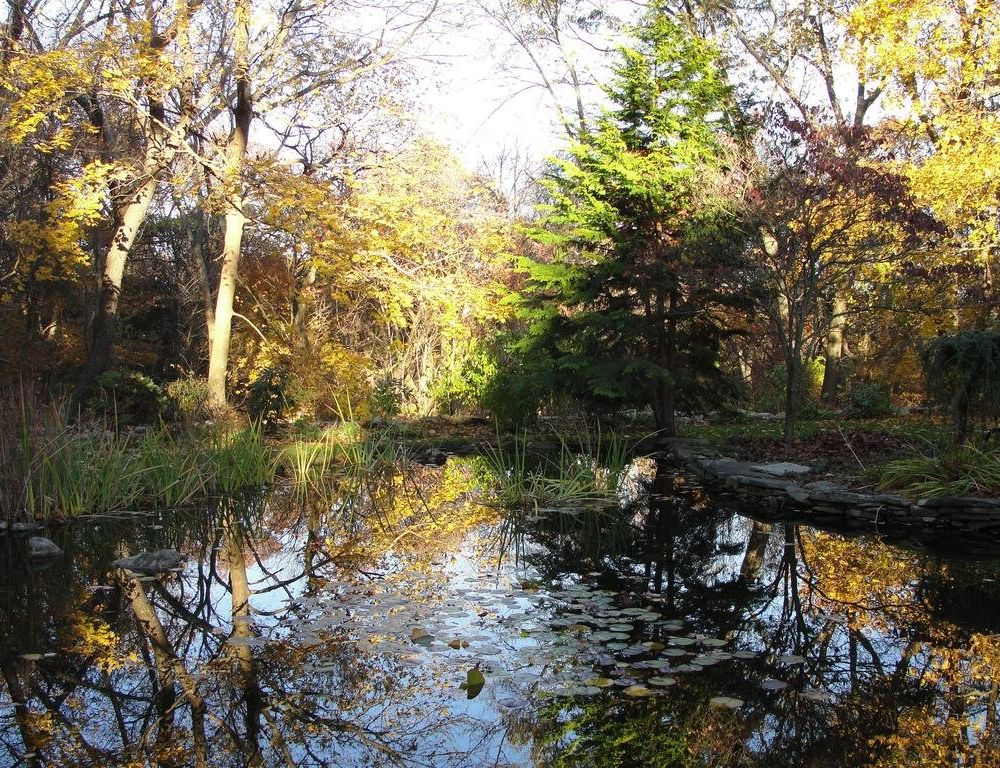 Outdoor Pictures 7