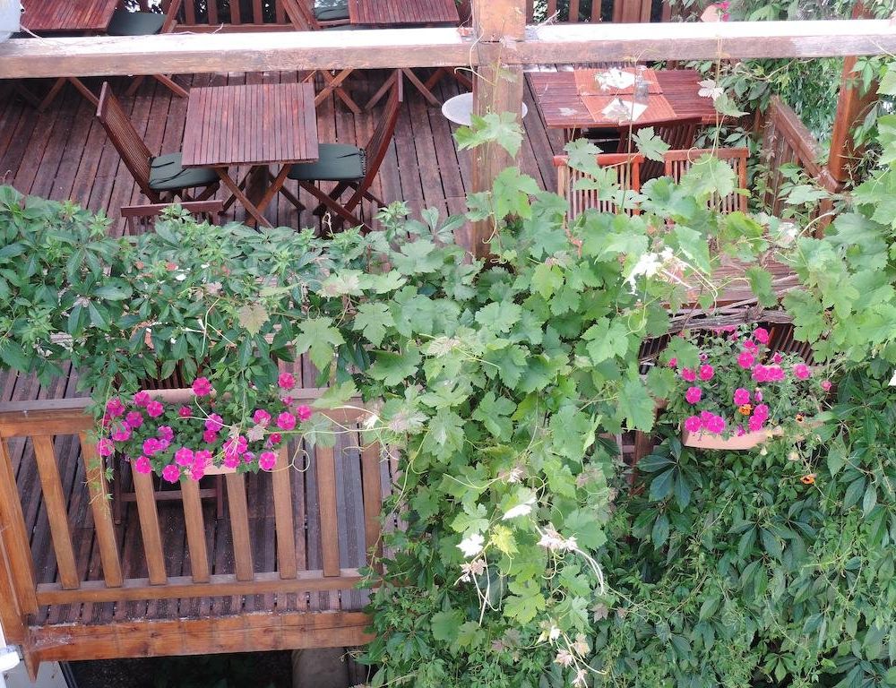 Outdoor Pictures 9