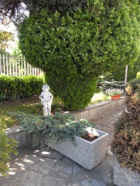 Outdoor Pictures 21