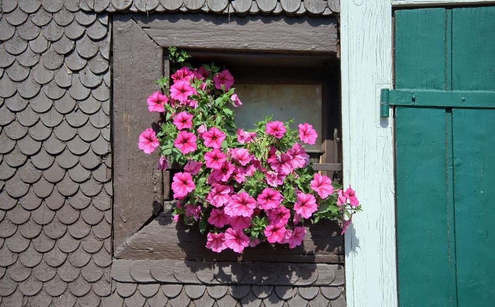 Outdoor Pictures 13