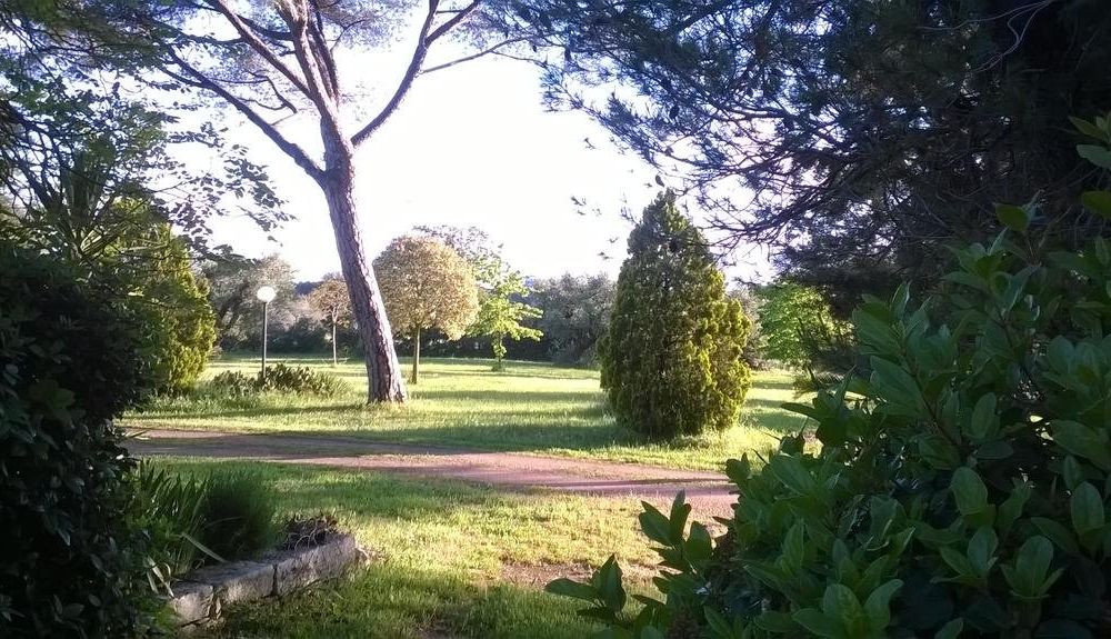 Outdoor Pictures 10