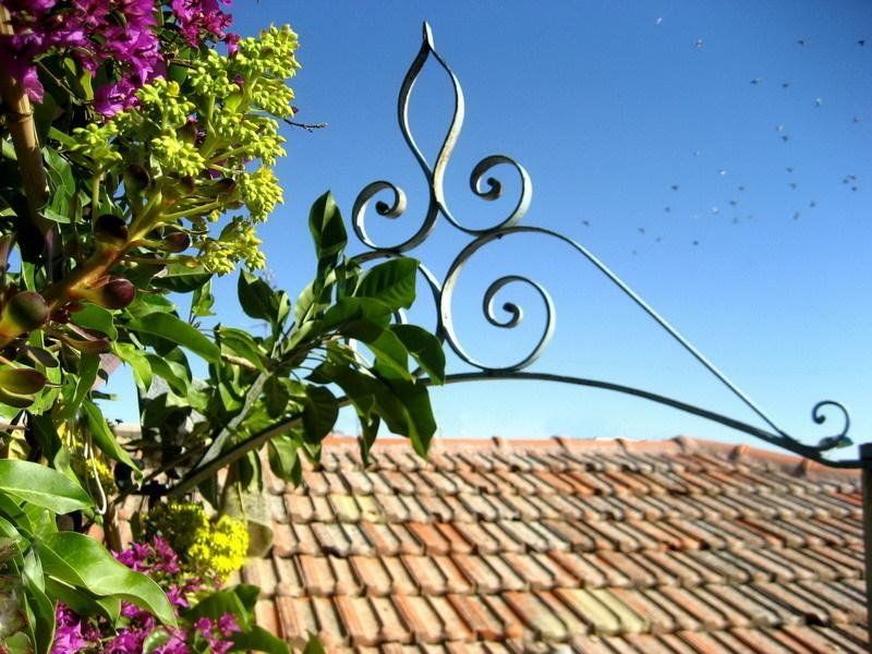 Outdoor Pictures 24