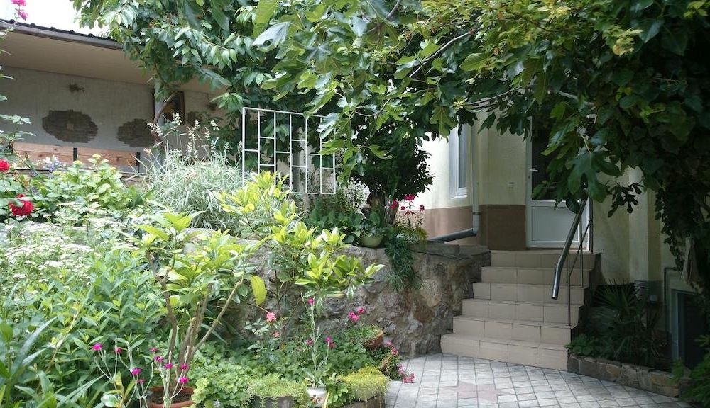 Outdoor Pictures 9