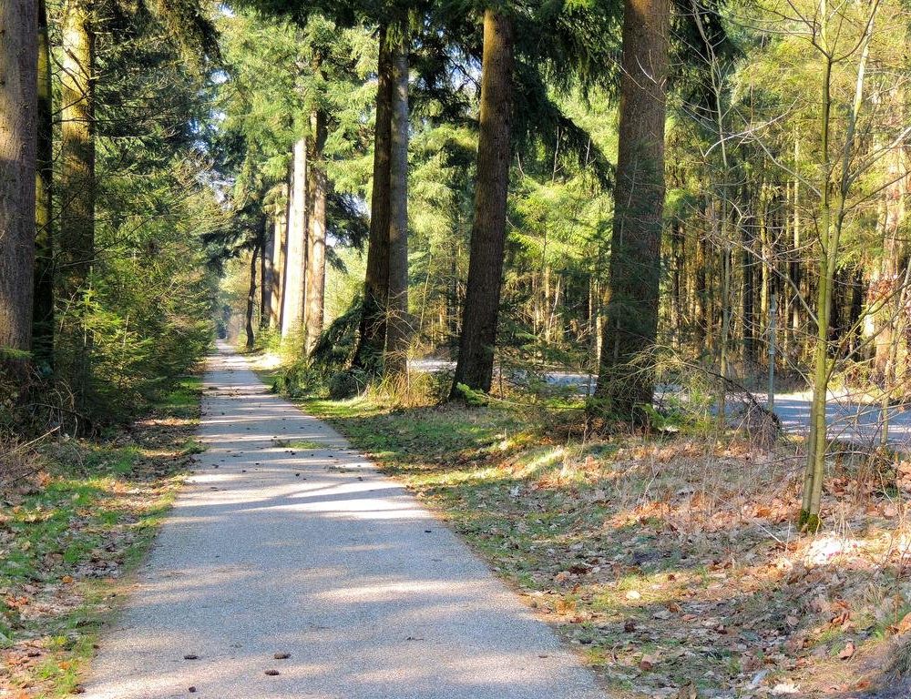 Outdoor Pictures 10