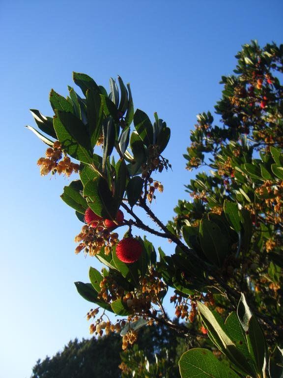 Outdoor Pictures 14