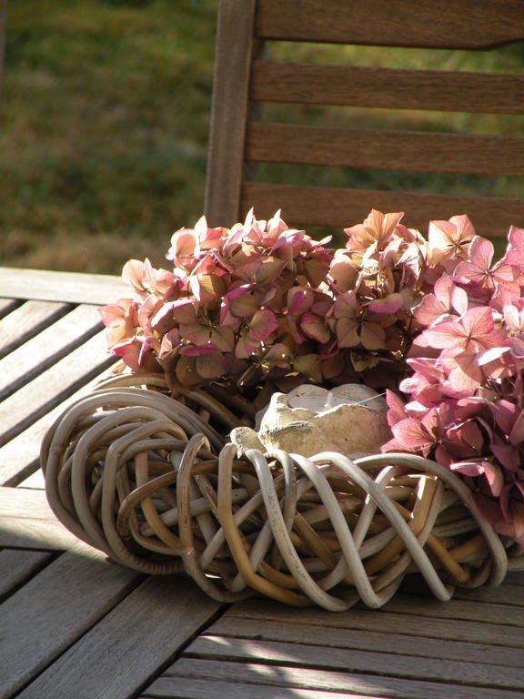 Outdoor Pictures 6