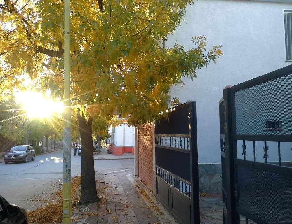 Outdoor Pictures 14
