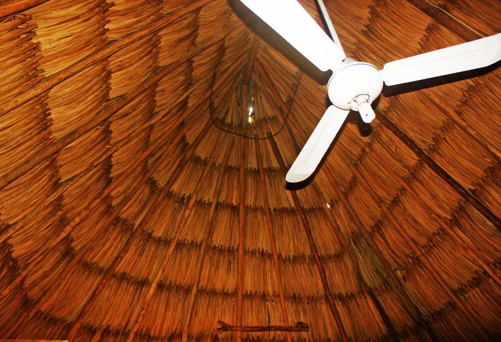 Outdoor Pictures 11