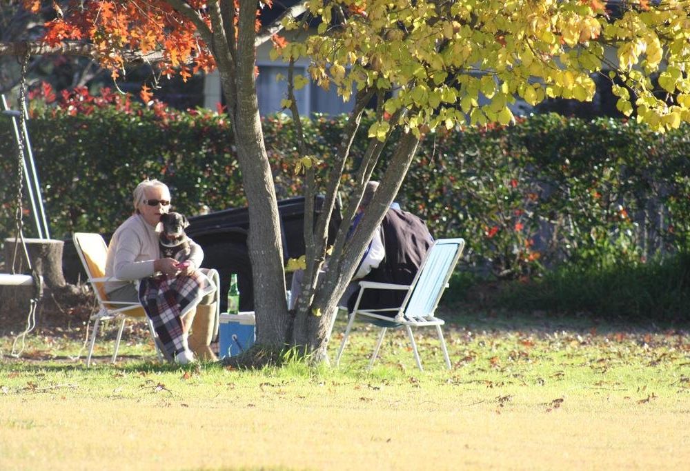 Outdoor Pictures 18