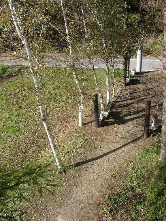 Outdoor Pictures 17