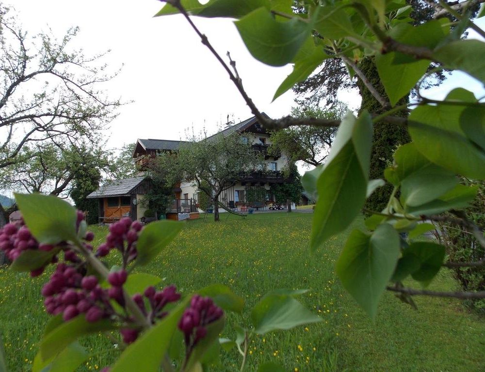 Outdoor Pictures 19