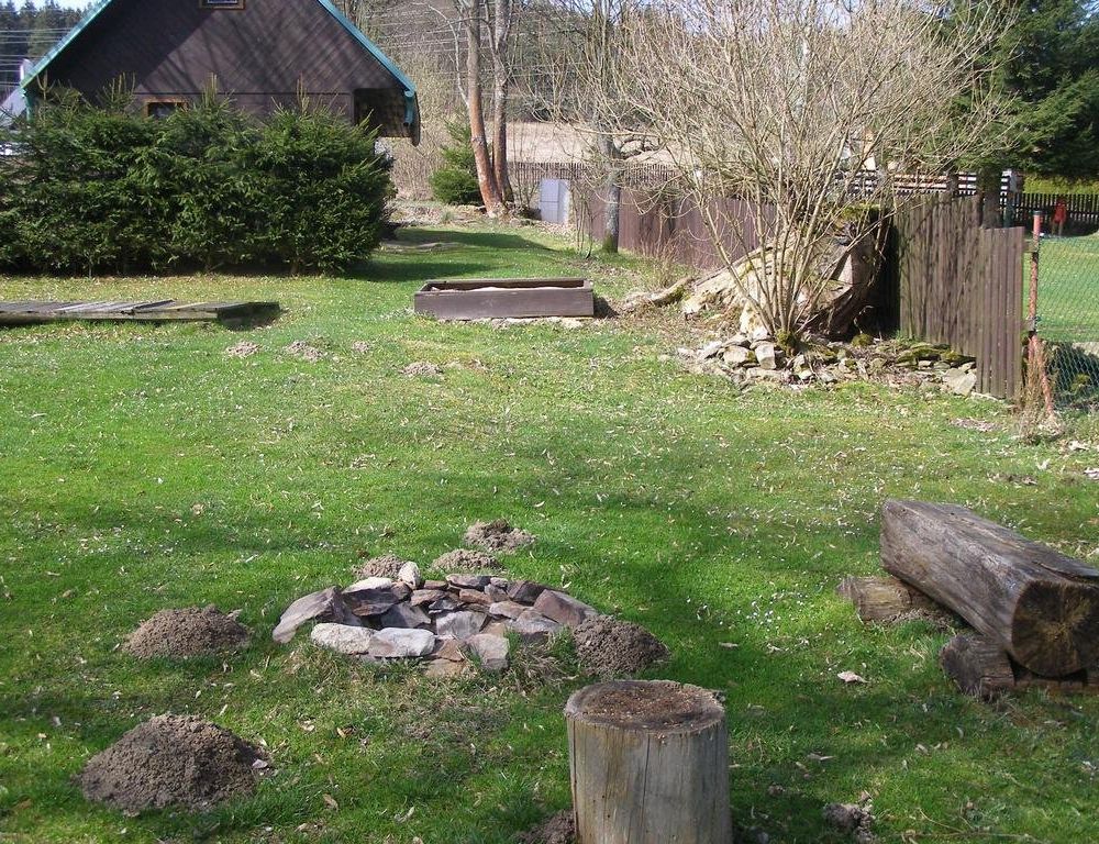 Outdoor Pictures 11