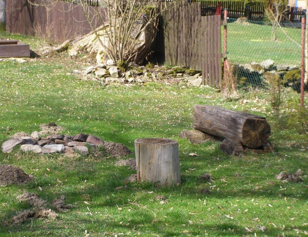 Outdoor Pictures 12