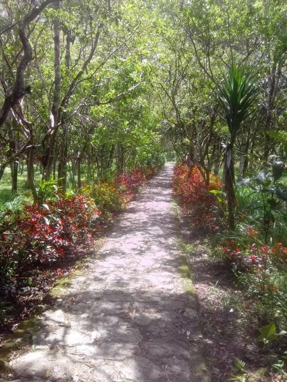 Outdoor Pictures 24