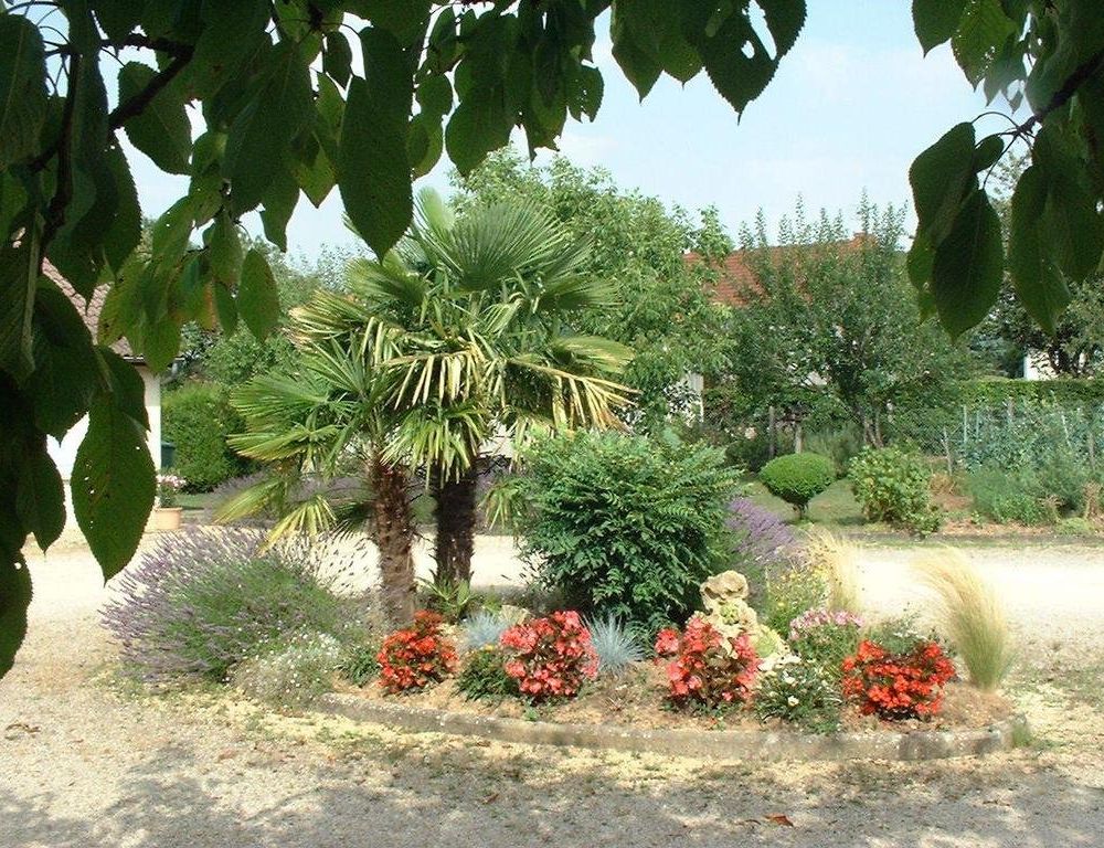 Outdoor Pictures 13
