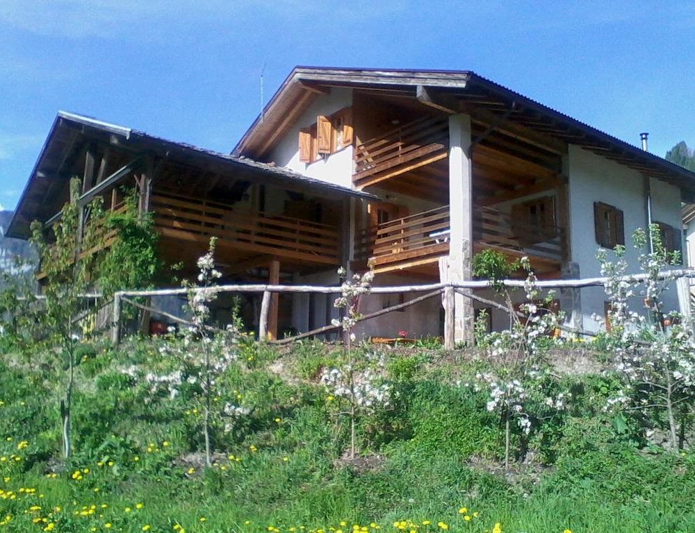 Outdoor Pictures 15