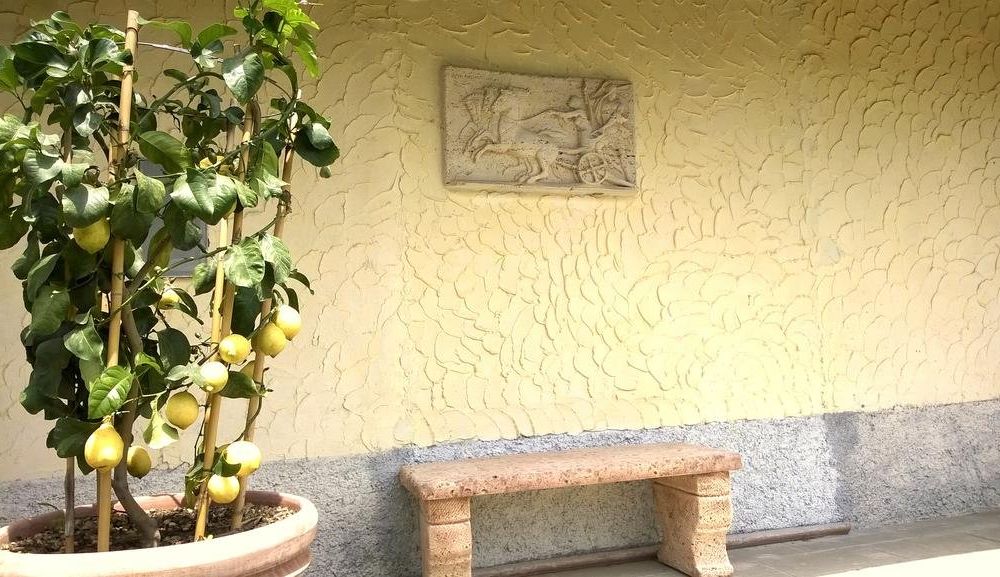Outdoor Pictures 10