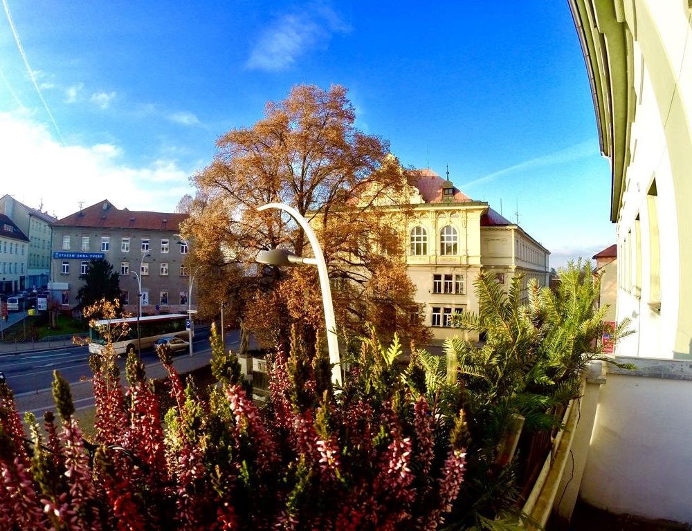Outdoor Pictures 22