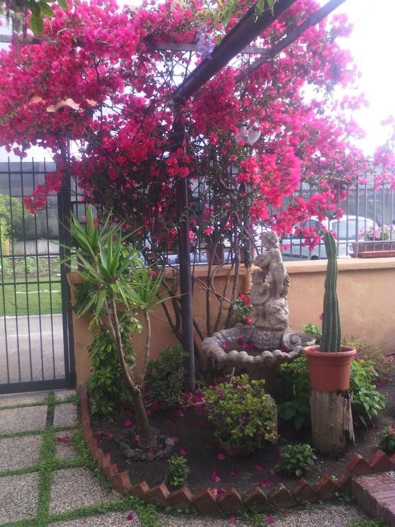 Outdoor Pictures 18