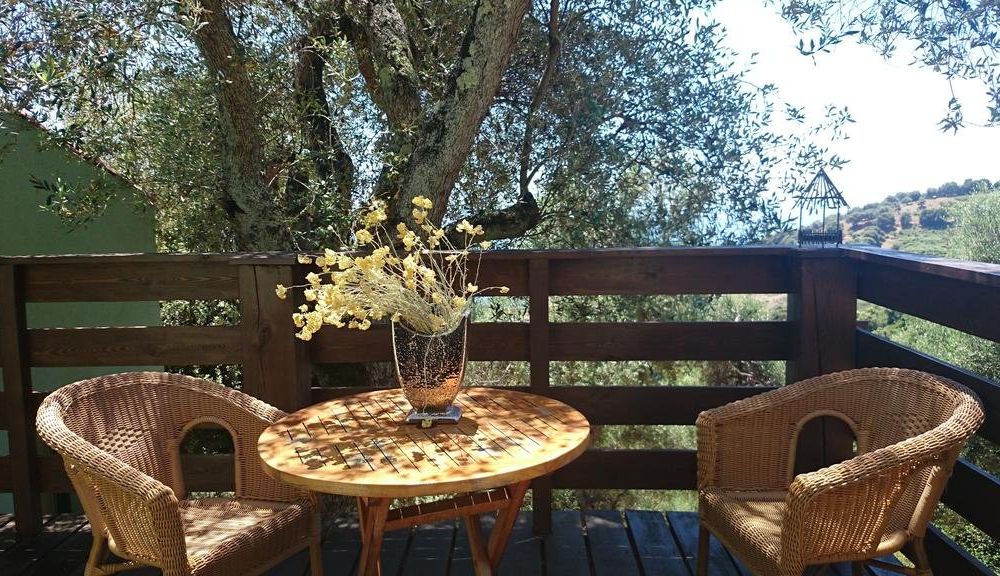 Outdoor Pictures 11