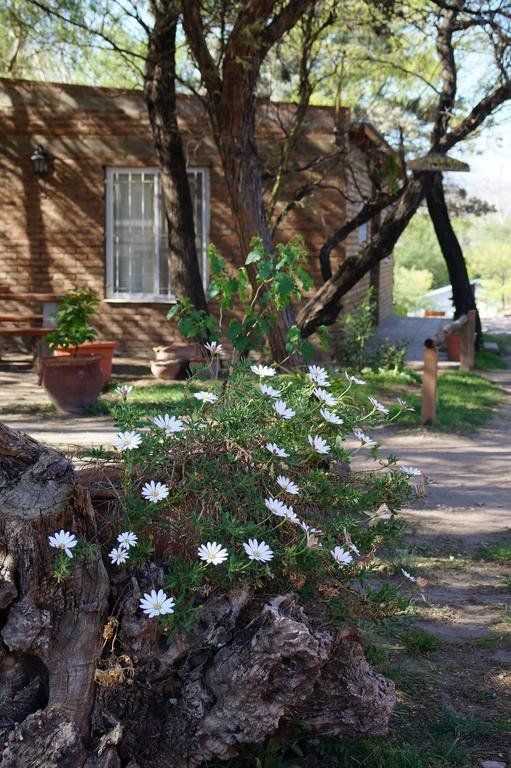 Outdoor Pictures 8