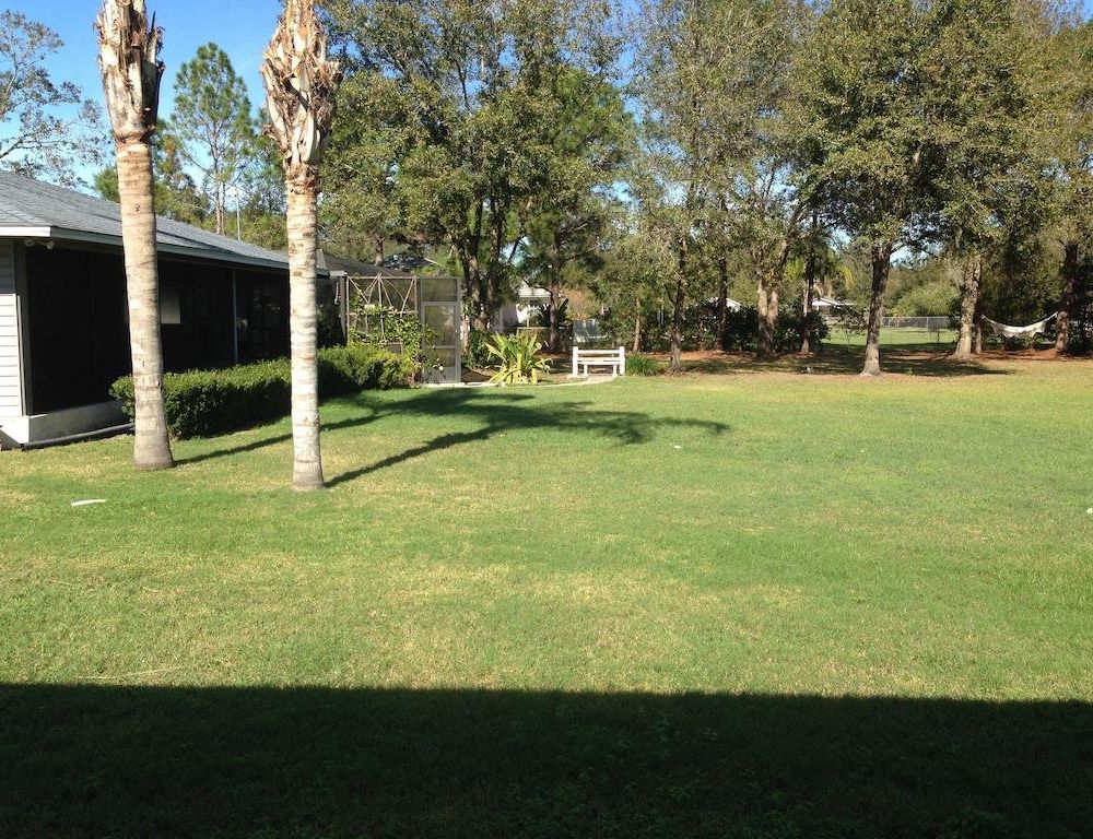 Outdoor Pictures 9