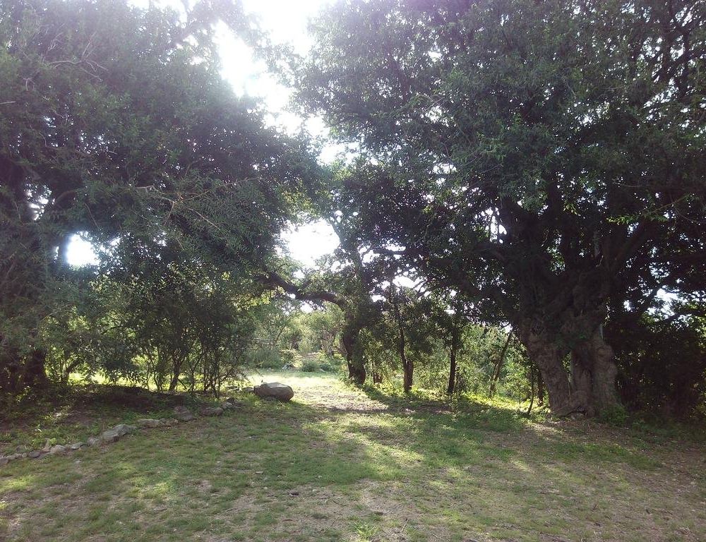 Outdoor Pictures 21