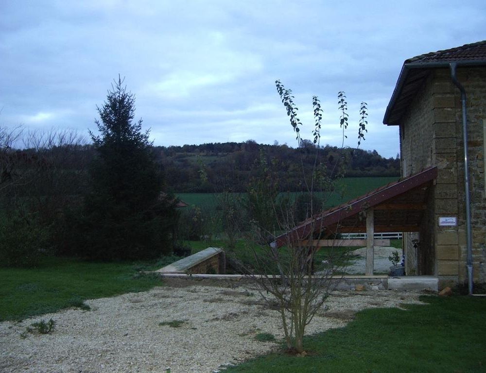 Outdoor Pictures 10