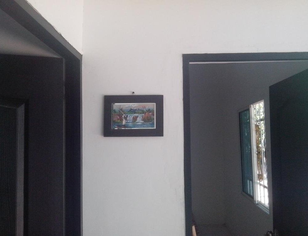 Outdoor Pictures 8