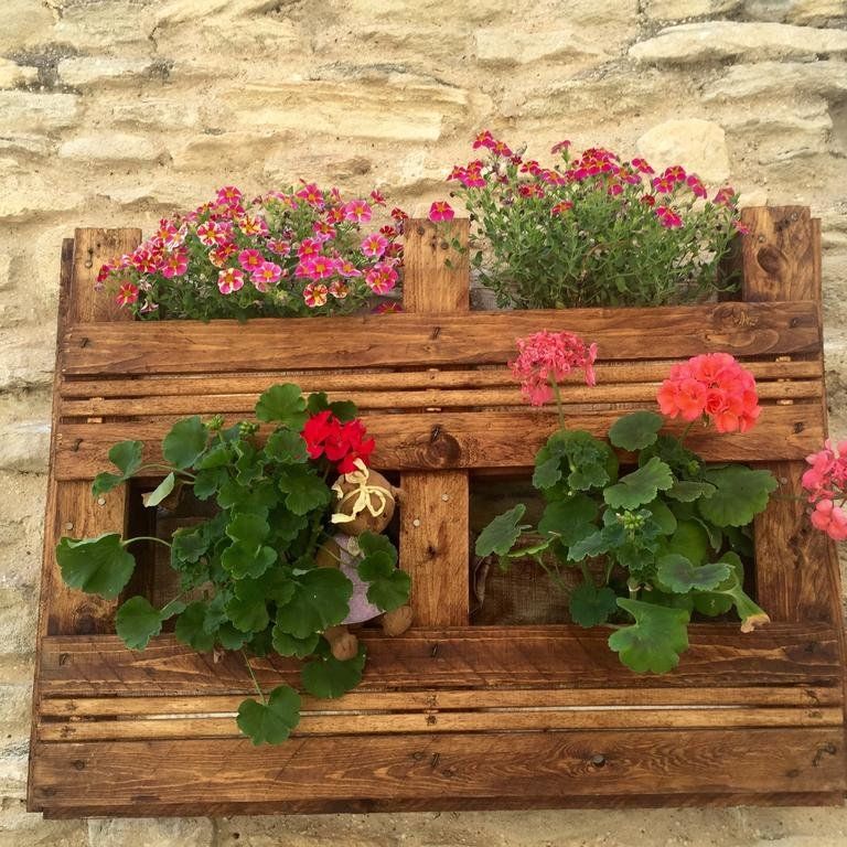 Outdoor Pictures 5