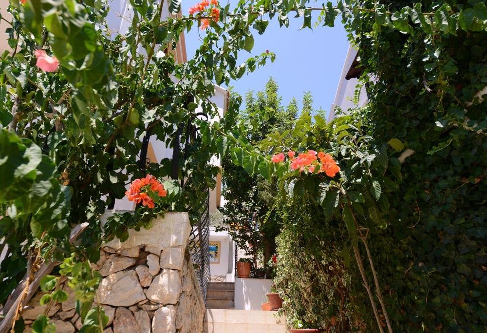 Outdoor Pictures 15