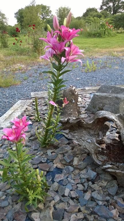 Outdoor Pictures 8
