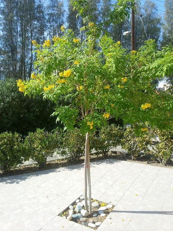 Outdoor Pictures 18