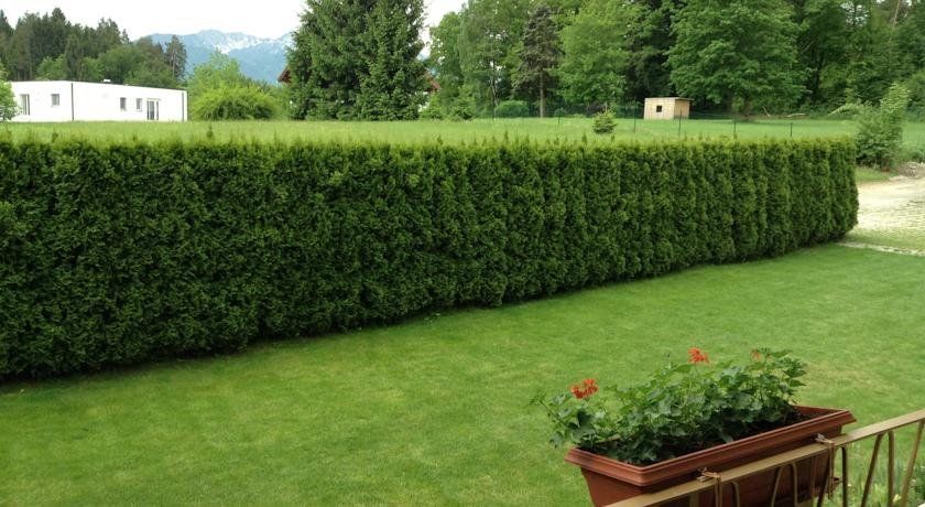 Outdoor Pictures 15