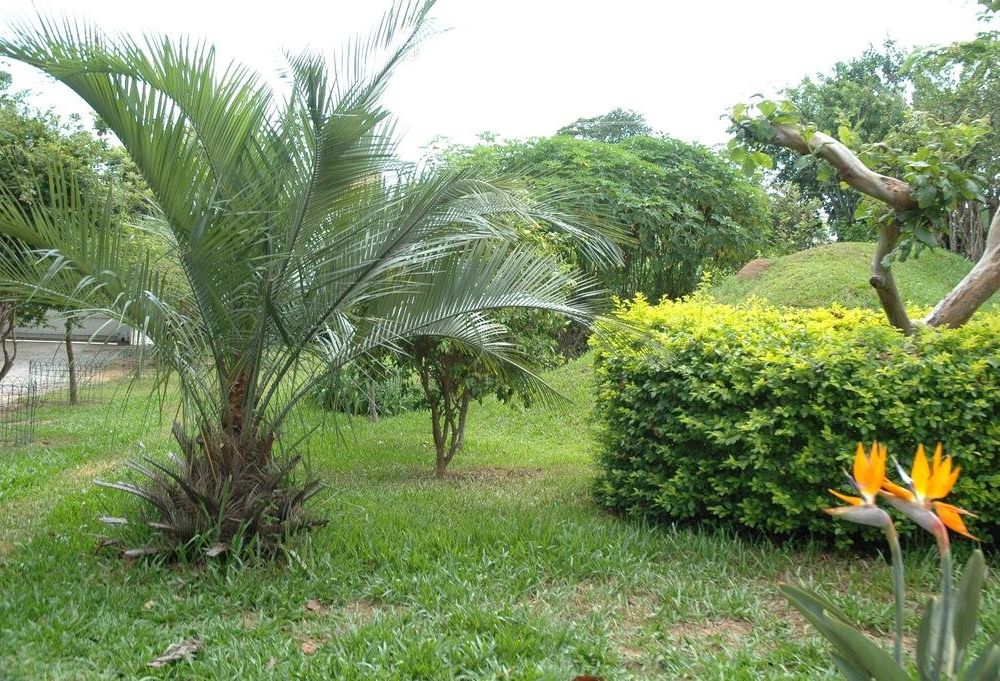 Outdoor Pictures 21