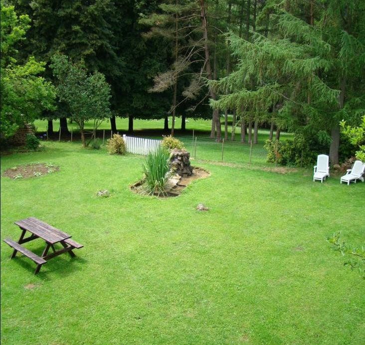 Outdoor Pictures 7